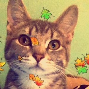 Meet your Posher, Ismael